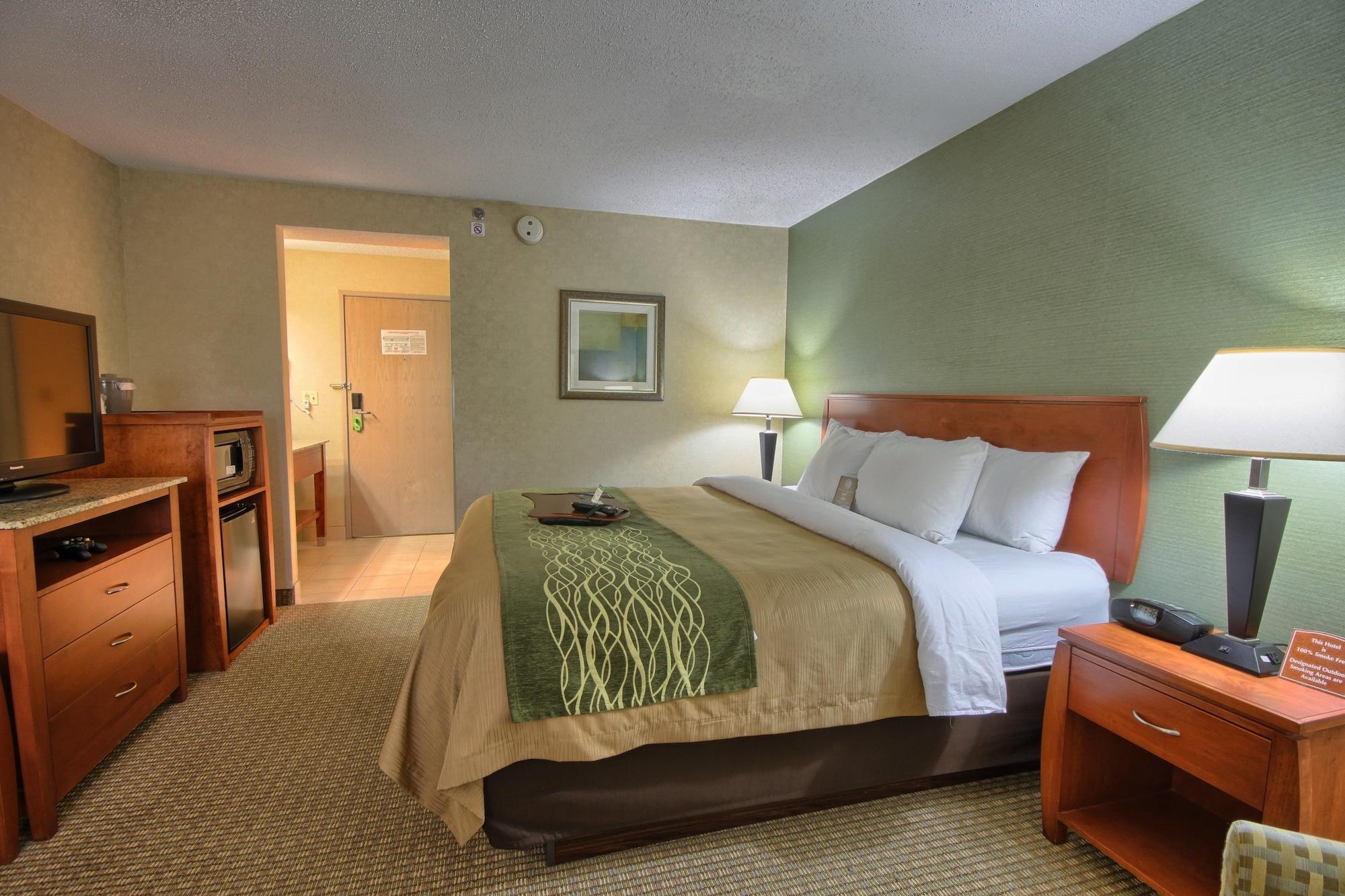 Comfort Inn Near Greenfield Village Dearborn Esterno foto